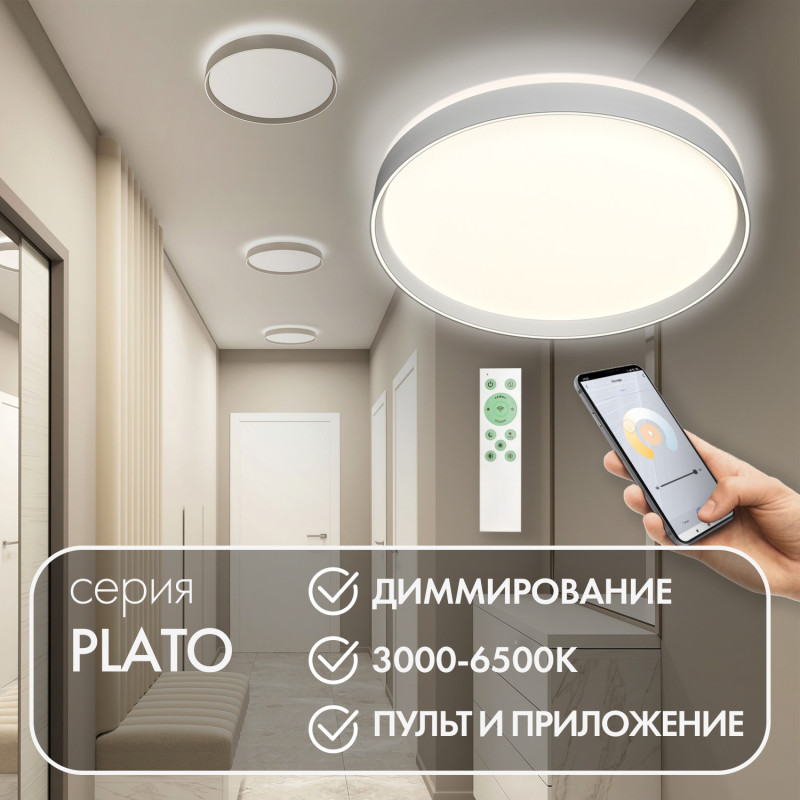 Накладной светильник Denkirs DK6511-WH/1 PLATO