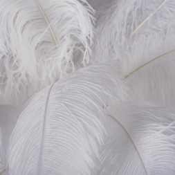 Торшер LOFT IT 10067F/SG White