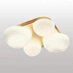 Накладной светильник Lussole LSP-8990 Moore