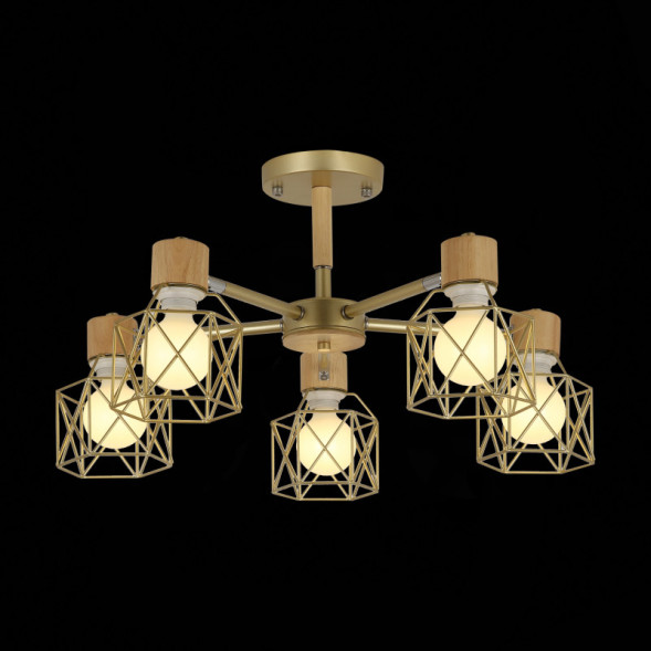 Люстра на штанге Evoluce STELITTO SLE110402-05