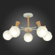 Люстра на штанге Evoluce CATANIA SLE220702-05