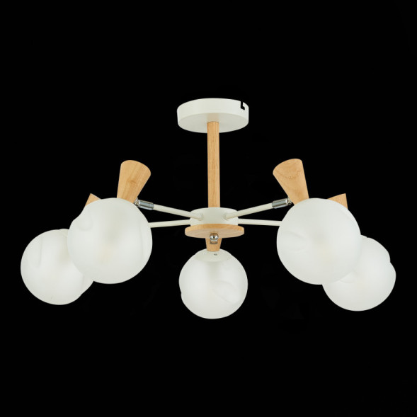 Люстра на штанге Evoluce CATANIA SLE220702-05