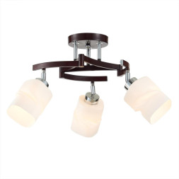 Люстра на штанге Citilux Берта CL126132