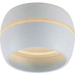 Накладной точечный светильник Feron 41509