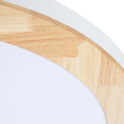 Потолочный светильник ARTE Lamp Luce A2685PL-72WH