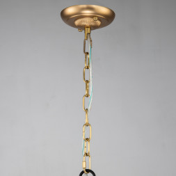 Подвесная люстра Favourite Roshe 2624-6P