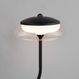 Бра Eurosvet 50388/2 LED черный Fungo