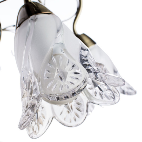 Подвесная люстра ARTE Lamp 6273 A6273LM-8AB