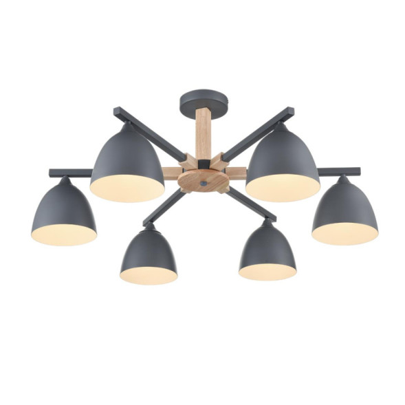 Люстра на штанге LUMION COLANGE 8096/6C