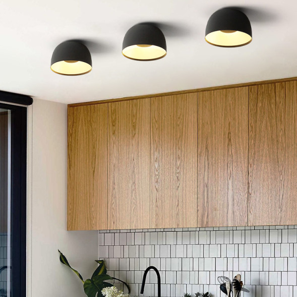 Потолочный светильник ImperiumLoft 184476-26