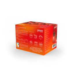 Белт-Лайт Gauss Holiday HL064