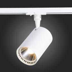 Светодиодный трековый светильник ST-Luce CAMI ST351.546.30.36