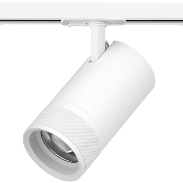 Трековый светильник C4406SS Lightstar Canno Pro