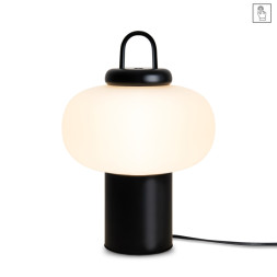 Настольная лампа Freya FR6175TL-L10B Take