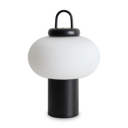 Настольная лампа Freya FR6175TL-L10B Take