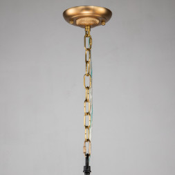 Подвесная люстра Favourite Roshe 2624-8P