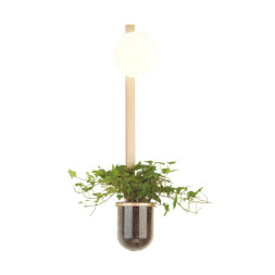 Бра Odeon Light FLOWER 4682/1WB