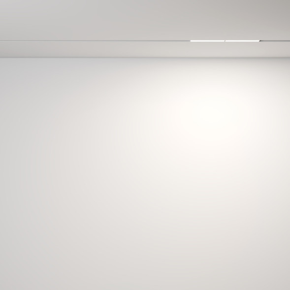 Магнитный трековый светильник Maytoni Technical Parete TR106-4-12W-DS-W