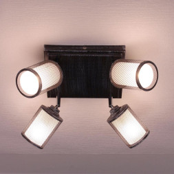 Спот Citilux Робин CL535541