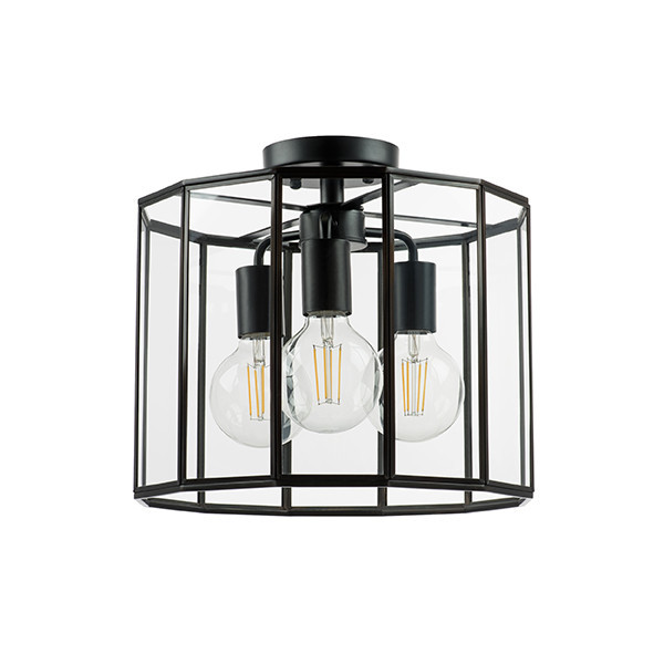 Люстра на штанге Lightstar Genni 798237
