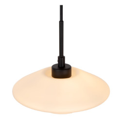 Подвесной светильник LUCIDE TREVOR 25414/20/61