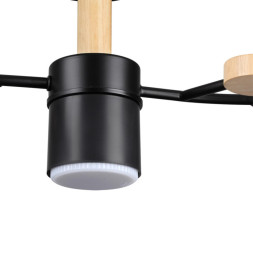 Люстра на штанге LUMION CRYPTO 8194/5C