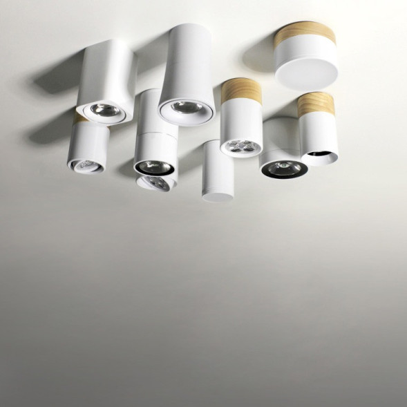 Накладной точечный светильник ImperiumLoft 141159-26