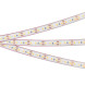 Лента Arlight RTW-PGS-A120-11mm 2837 033895 48W 12V белый (холодный) IP68