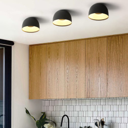 Потолочный светильник ImperiumLoft 184478-26