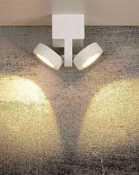 Накладной точечный светильник LUCIDE Mitrax 33159/10/31