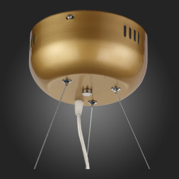 Подвесная люстра ST-Luce Riccardo SL411.233.45