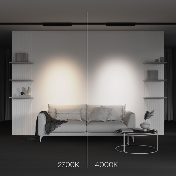 Светодиодный трековый светильник Maytoni Technical Points TR195-3-20W2.7K-M-B