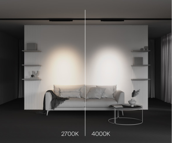 Светодиодный трековый светильник Maytoni Technical Points TR195-3-20W2.7K-M-B