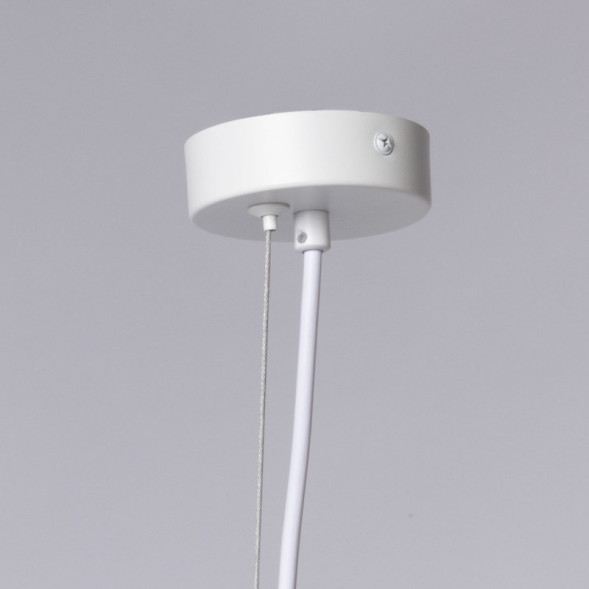 Подвесная люстра DeMarkt Астор 545014005