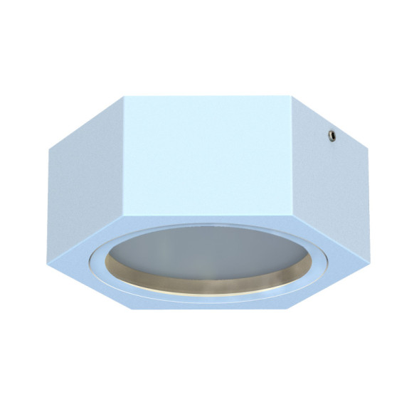 Накладной уличный светильник Favourite 4665-1U Fantum