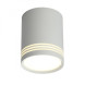 Накладной точечный светильник Omnilux Omnilux 100 OML-100109-12