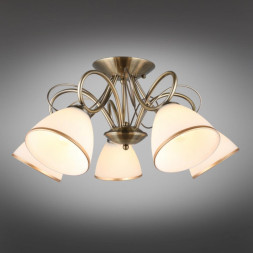 Потолочная люстра Omnilux Omnilux 253 OML-25307-05