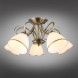 Потолочная люстра Omnilux Omnilux 253 OML-25307-05