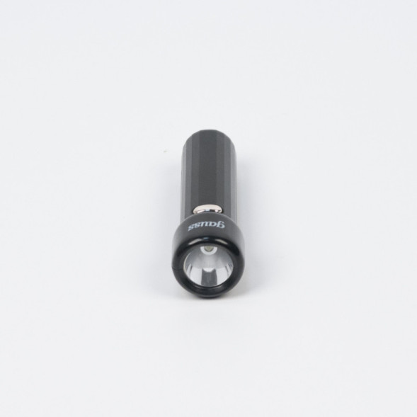 Фонарь Gauss GFL GF202