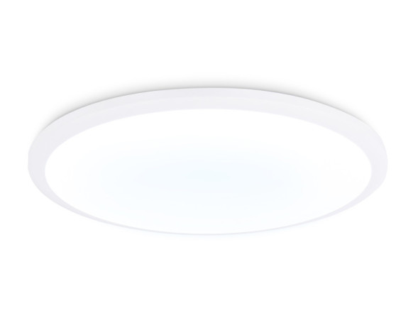 Потолочный светильник Ambrella Light FZ1232