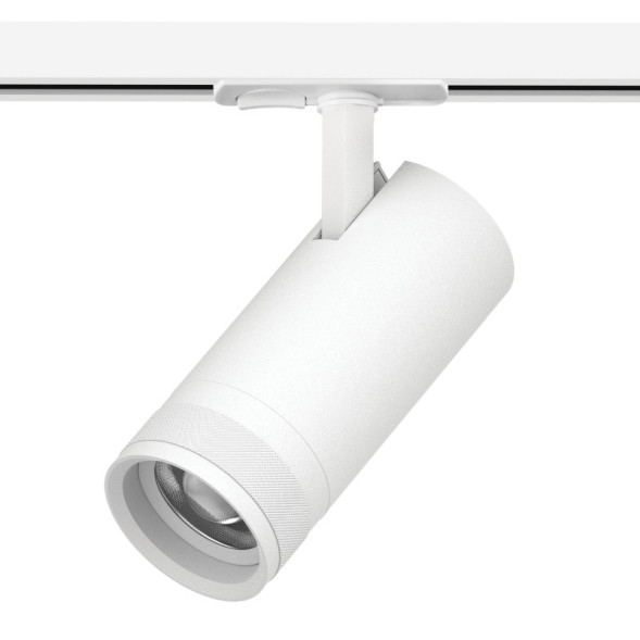 Трековый светильник C4206SS Lightstar Canno Pro