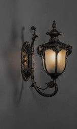 Уличный настенный светильник Feron 11421