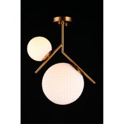 Накладной светильник APLOYT APL.300.07.02 Marzena