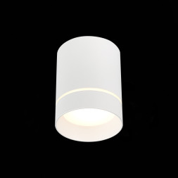 Накладной точечный светильник ST-Luce ST115 ST115.542.07