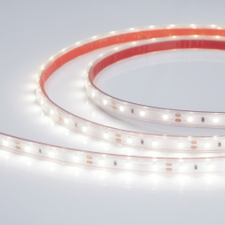Лента Arlight RTW-PS-A60-10mm 2835 021099(2) 24W 12V белый (холодный) IP67