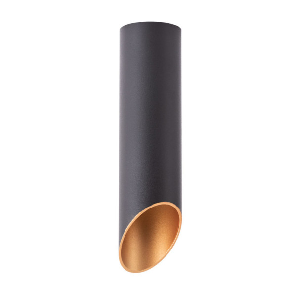Накладной точечный светильник ARTE Lamp PILON A1535PL-1BK