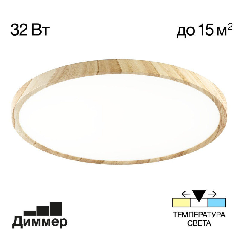 Потолочный светильник Citilux Бейсик CL738322V