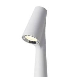 Настольная лампа Freya FR6188TL-L3W Clam