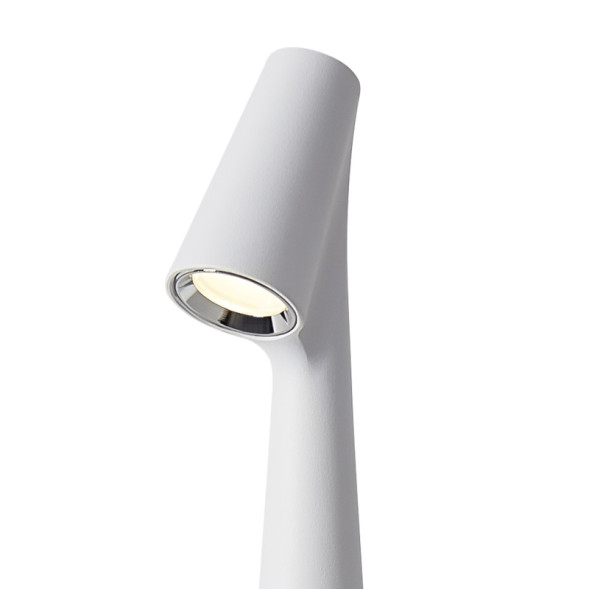 Настольная лампа Freya FR6188TL-L3W Clam