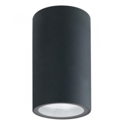 Точечный влагозащищенный светильник ARTE Lamp MISTERO A3302PF-1GY